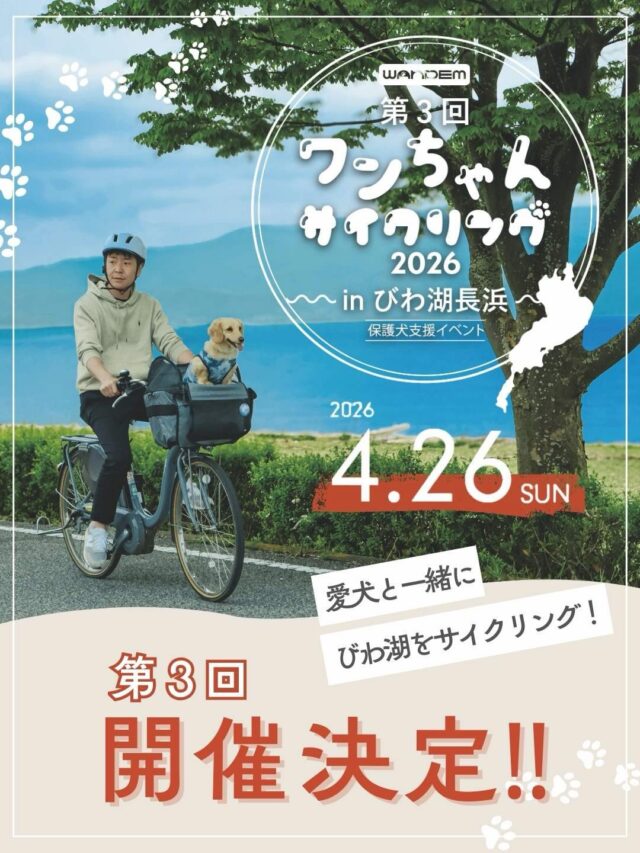 WANDEM｜ワンデム – 大久保製作所